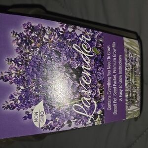 Lavender Grow Kit - Purple